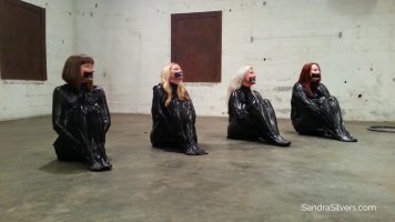 Sandra And Friends In Vacuum Bags