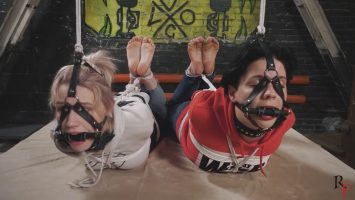 Challenge for the Title of “QUEEN OF HOGTIE” Between Astrid and Vesna