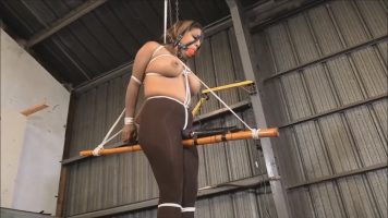 Desiree Lopez – Riding The Pole