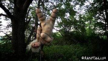 Cherry Torn Bondage In The Woods