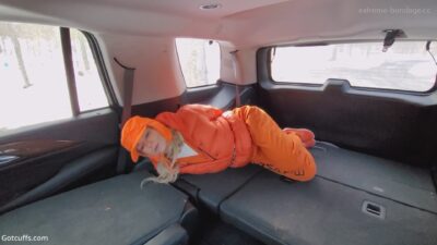 JJ Plush – MILF JJ’s Winter in Jail
