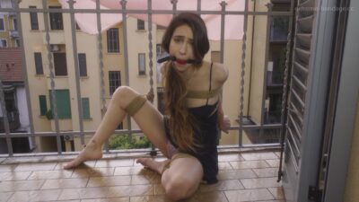 Rey Sanson – Summer Capture
