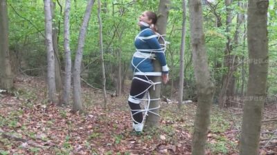 Rachel Adams – What Were You Looking For?